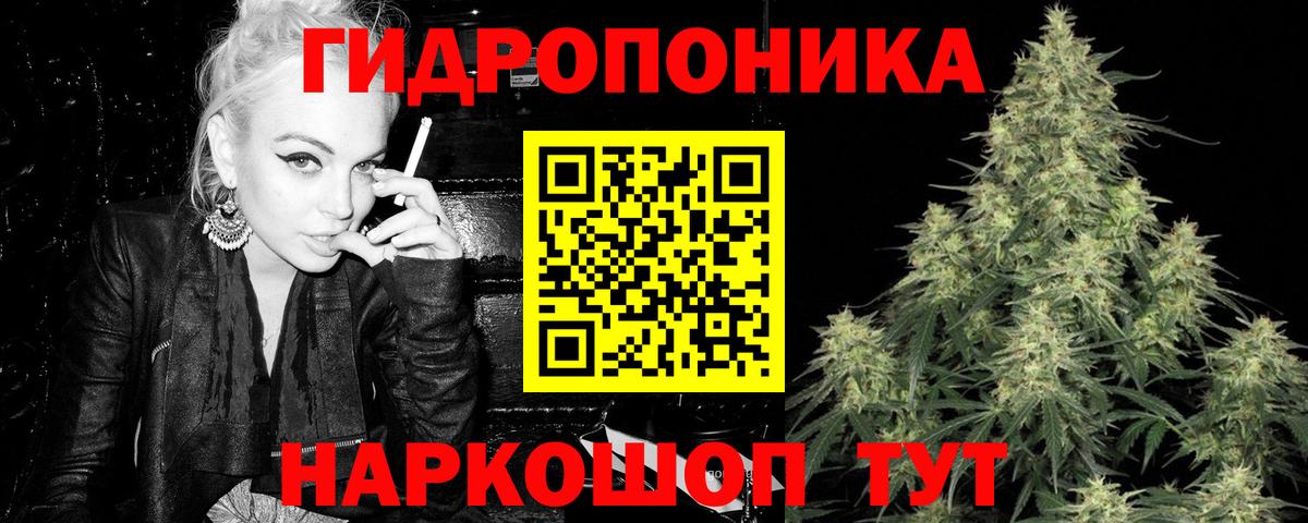 Унеча  Шишки марихуана семена  Каннабис THC 21%  Вход с VPN  Конопля SATIVA & INDICA  Бошки марихуана SATIVA & INDICA 